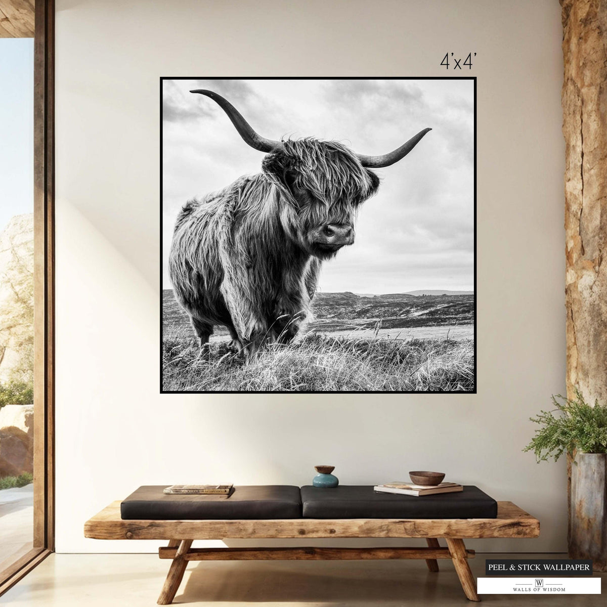 Large black and white photo mural featuring a Highland cow