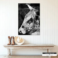 Vintage Western Rodeo Bull Canvas Sign in black and white